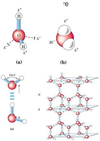 Cấu trúc không gian của nước (a,b), liên kết hydro(c), các phân tử nước tạo mạng
