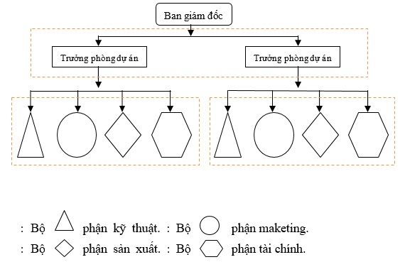 Hình 4. Sơ đồ tổ chức theo dự án 