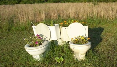 Bồn Toilet để cắm hoa