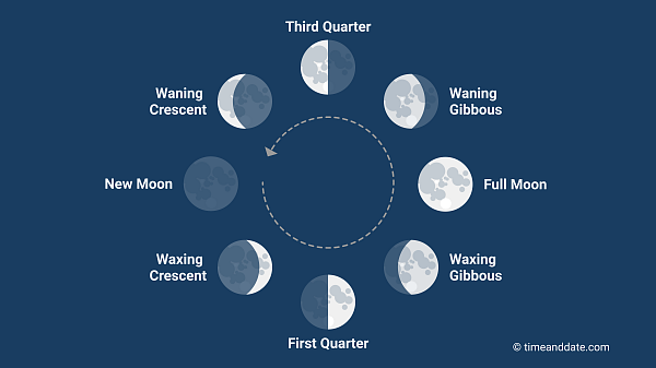 Mất khoảng 29,5 ngày để di chuyển qua tám giai đoạn của Mặt trăng.