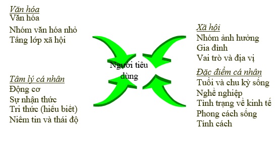 Tổng hợp 88 hình về mô hình hành vi người tiêu dùng  NEC