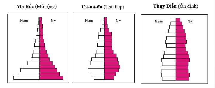 Ba dạng mô hình tháp dân số cơ bản