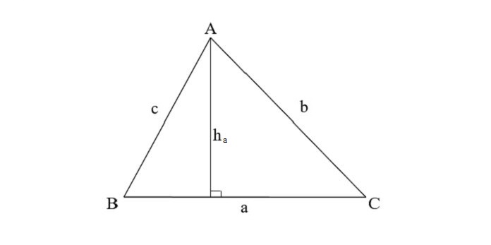 tính diện tích tam giác